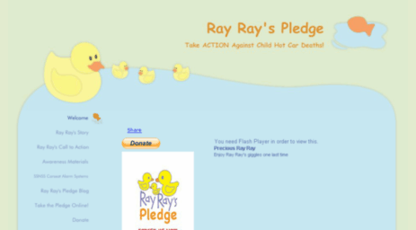 rayrayspledge.com