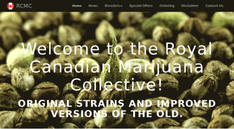 rcmcollective.ca