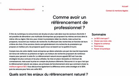 referencement-professionnel.fr