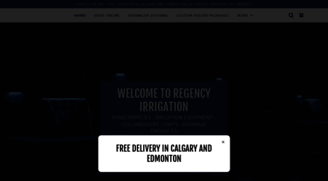 regencyirrigation.com