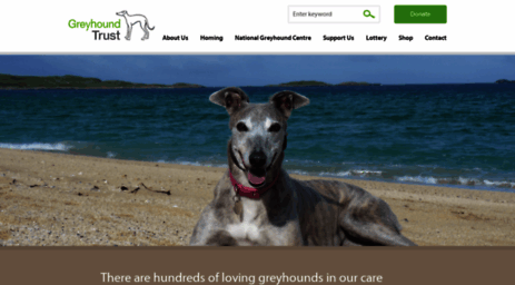 retiredgreyhounds.co.uk