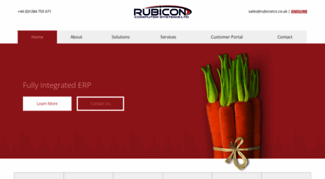 rubiconcomputersystems.com