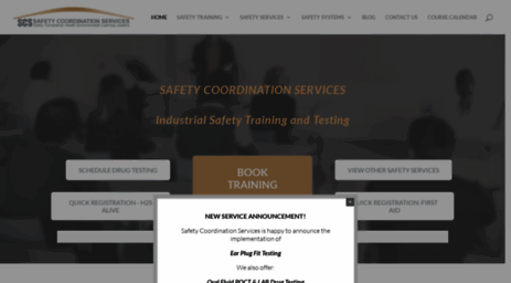 safetycoordination.com