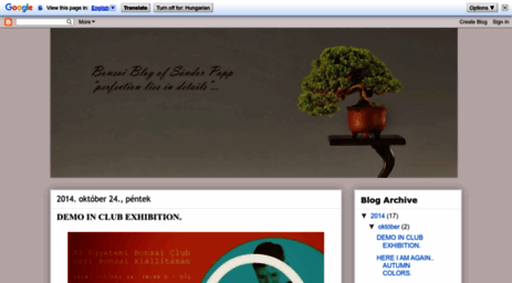 sandor-papp-bonsai.blogspot.com