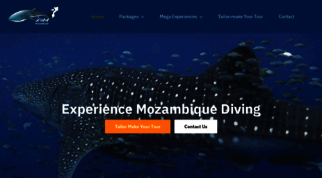 scubamozambique.com
