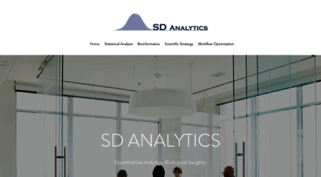 sd-analytics.com
