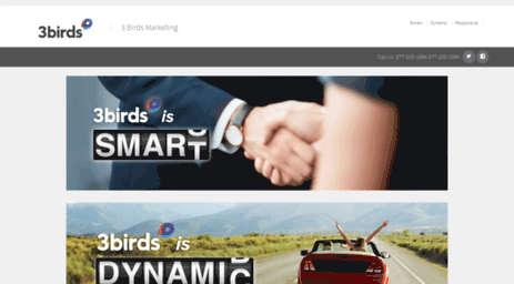 sdr.3birdsmarketing.com