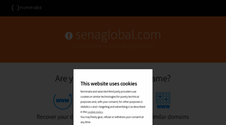 senaglobal.com
