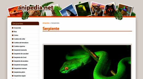 serpientes.anipedia.net
