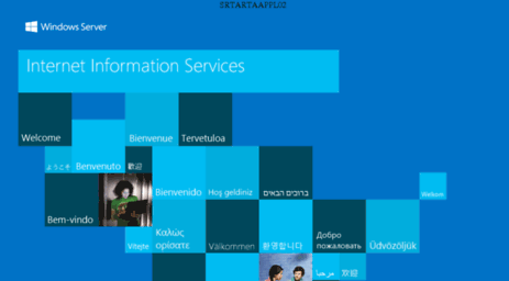 services.stc.gov.ae
