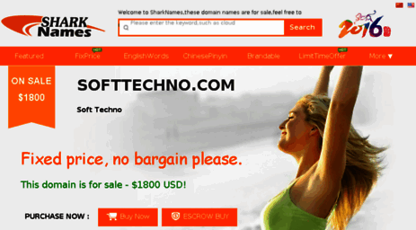 softtechno.com