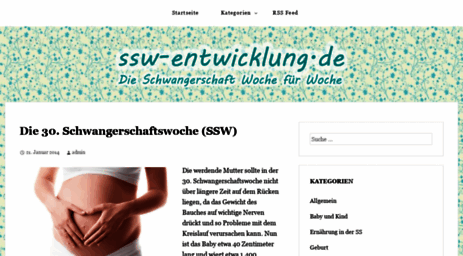 ssw-entwicklung.de