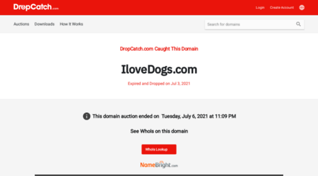 store.ilovedogs.com