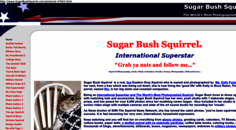 sugarbushsquirrel.com