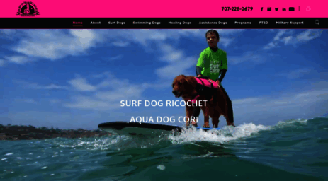 surfdogricochet.com