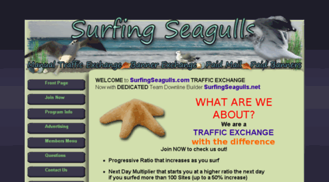 surfingseagulls.com