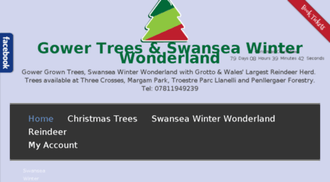 swansea-winter-wonderland.co.uk