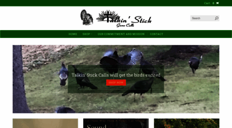 talkinstick.com