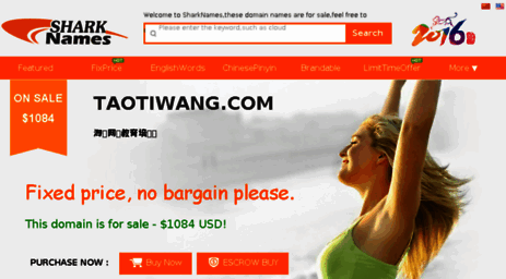 taotiwang.com