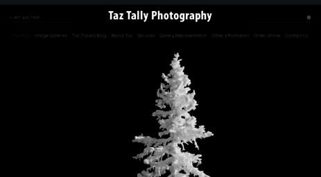 taztallyphotography.com