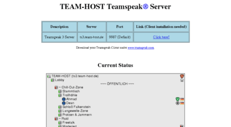 team-host.com