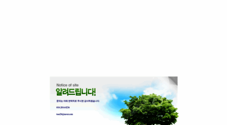 teem.kr
