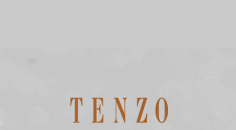 tenzo-jewellery.com