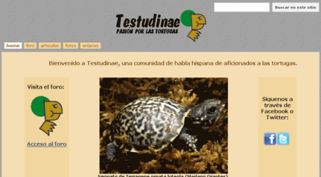 testudinae.com