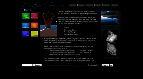 the-spa-collection.co.uk