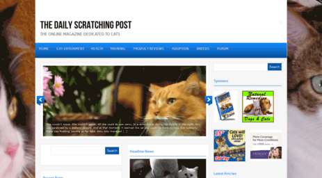 thedailyscratchingpost.com