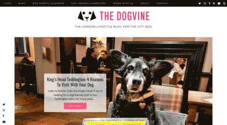 thedogvine.com