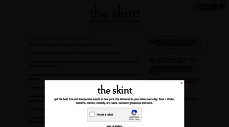 theskint.com