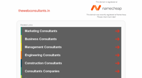 thewebconsultants.in