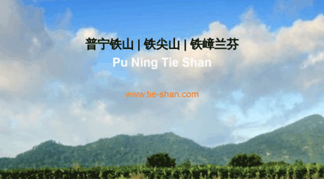 tie-shan.com