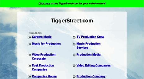 tiggerstreet.com