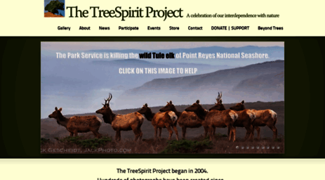 treespiritproject.com
