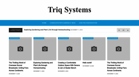 triqsystems.com