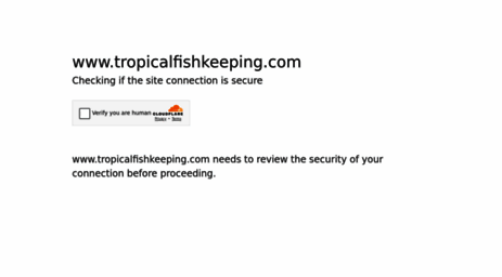 tropicalfishkeeping.com