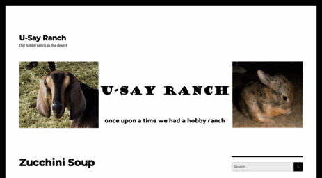 u-sayranch.com