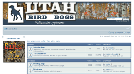 utahbirddogs.com