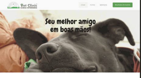 vetclinic.com.br