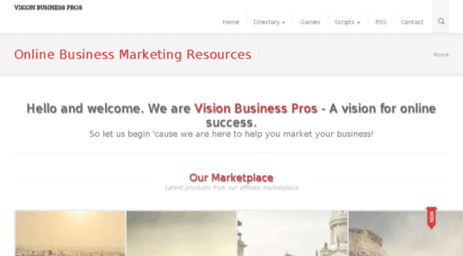 visionbusinesspros.com