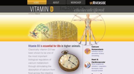 vitamind.ucr.edu