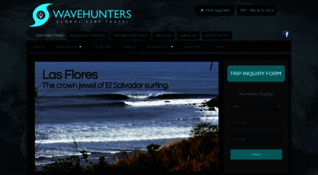 wavehunters.com