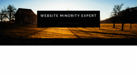 web-miner.com