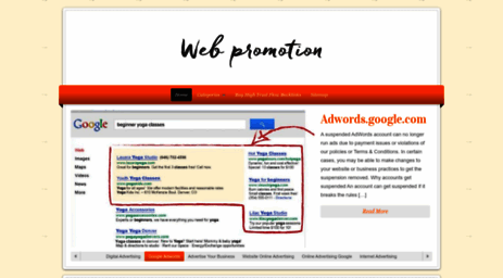 web-promotion-services.net