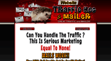 website-traffic-hog.com
