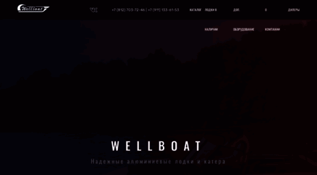 wellboat-spb.ru
