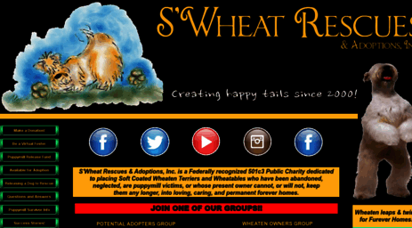 wheatenterrierrescue.org