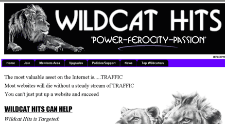 wildcathits.com